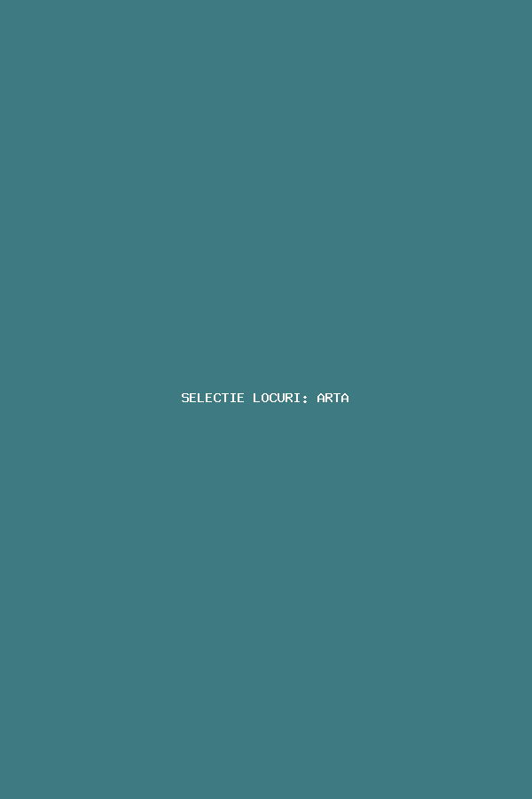 SELECTIE LOCURI: ARTA