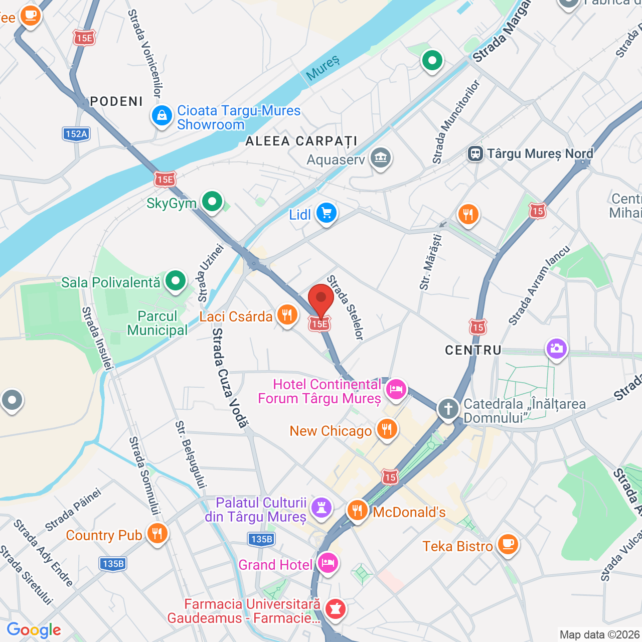 Map of Artizan