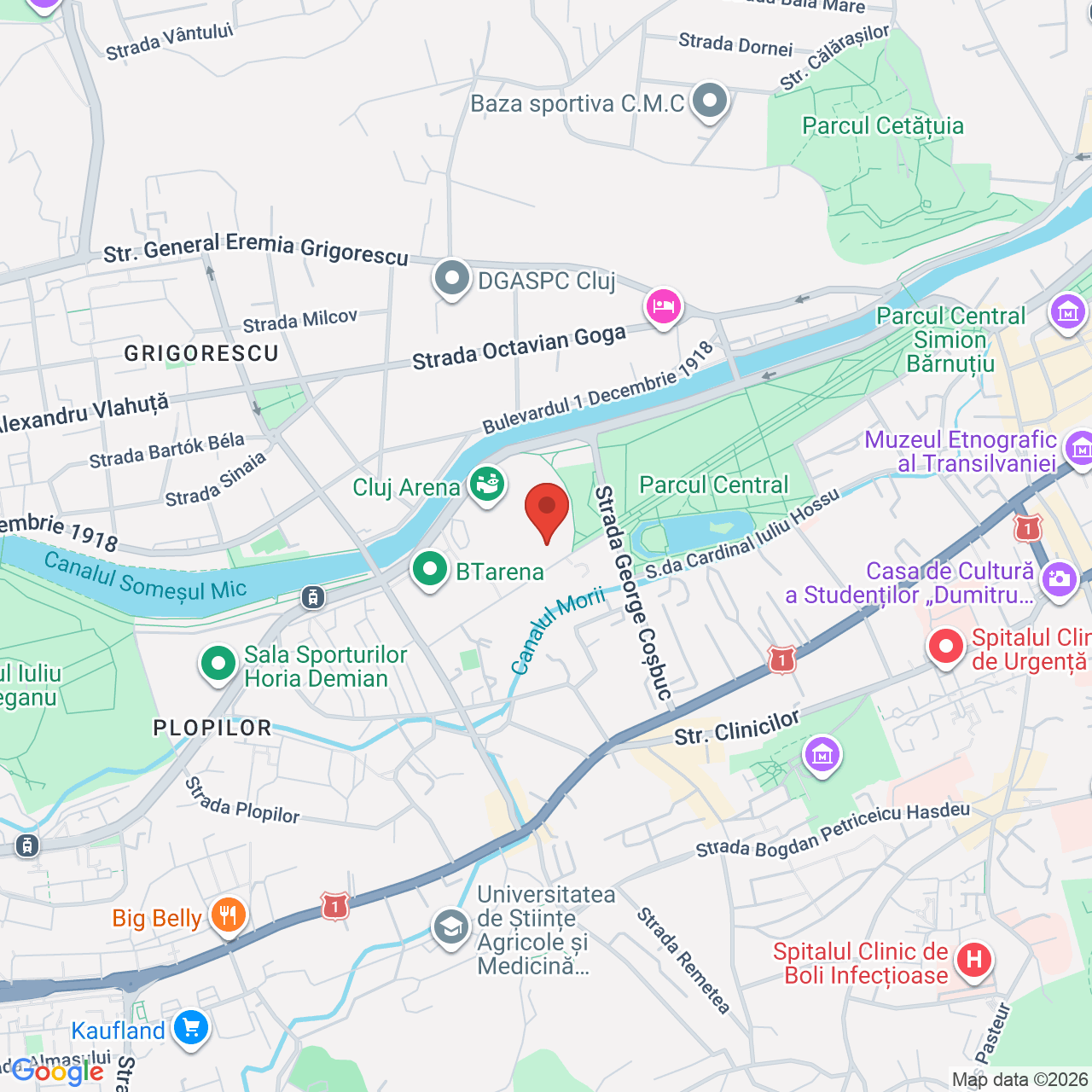 Map of Cluj Arena