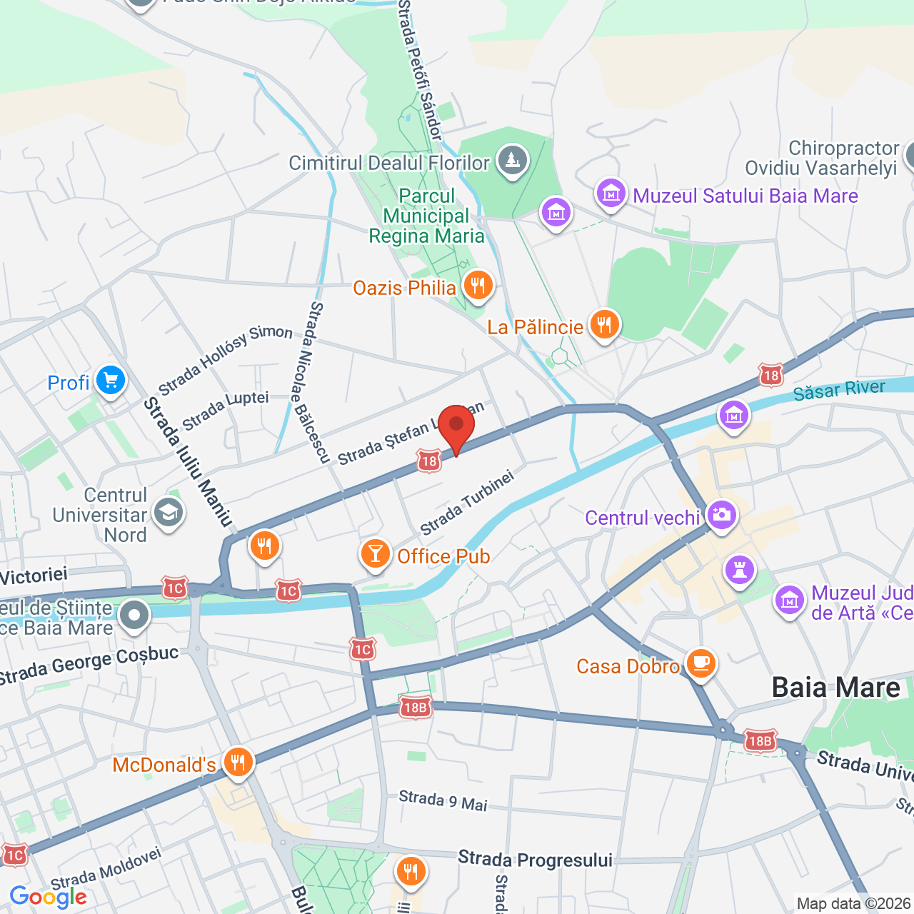 Map of Colonia Pictorilor