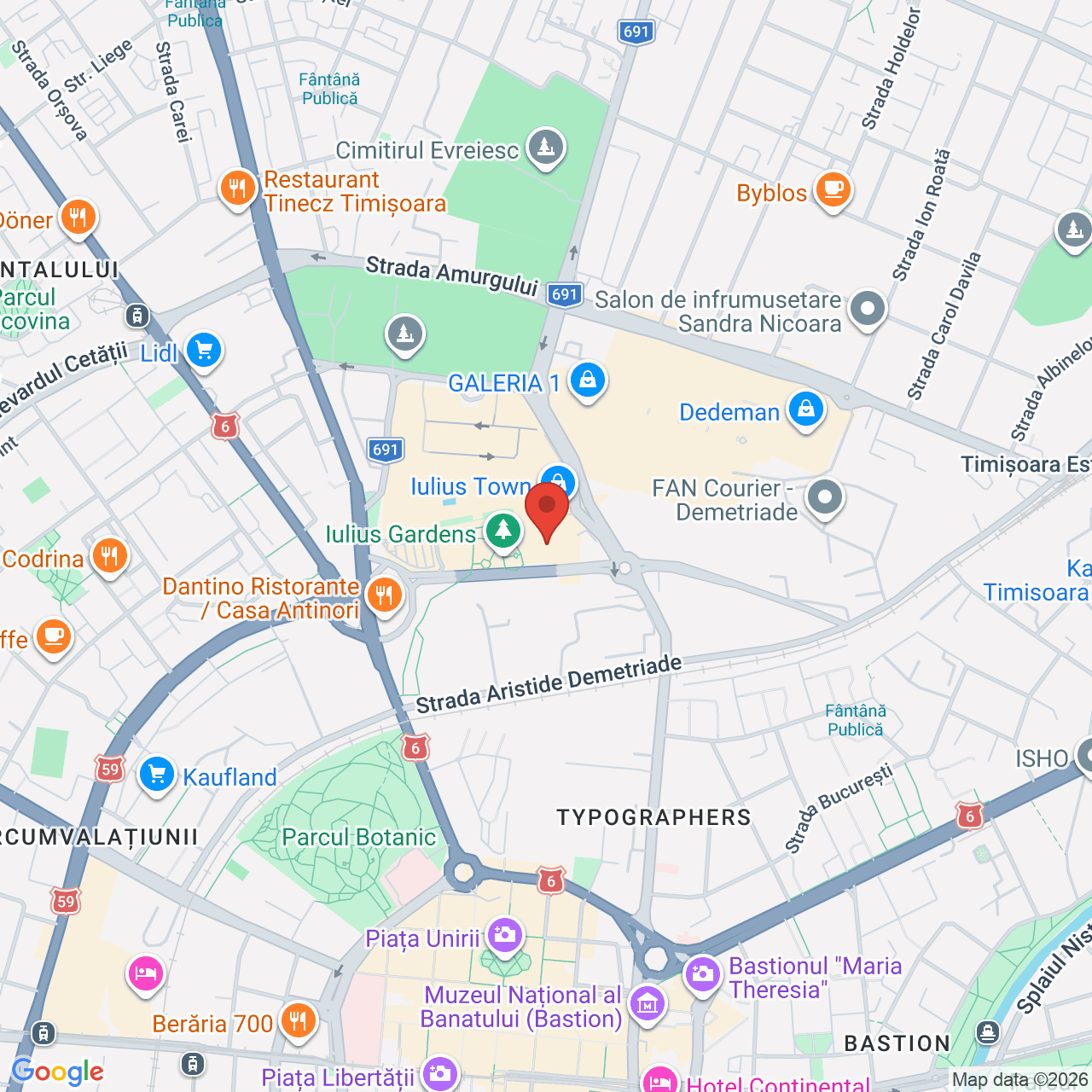Map of MINA Timișoara