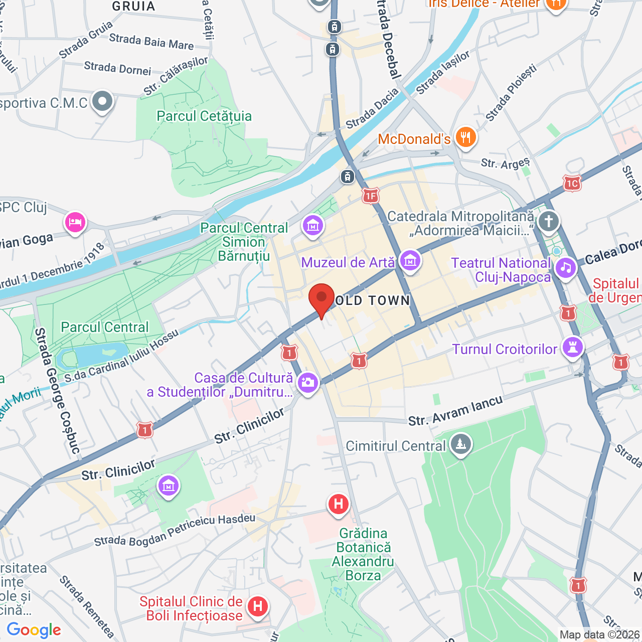 Map of Muzeul Etnografic al Transilvaniei
