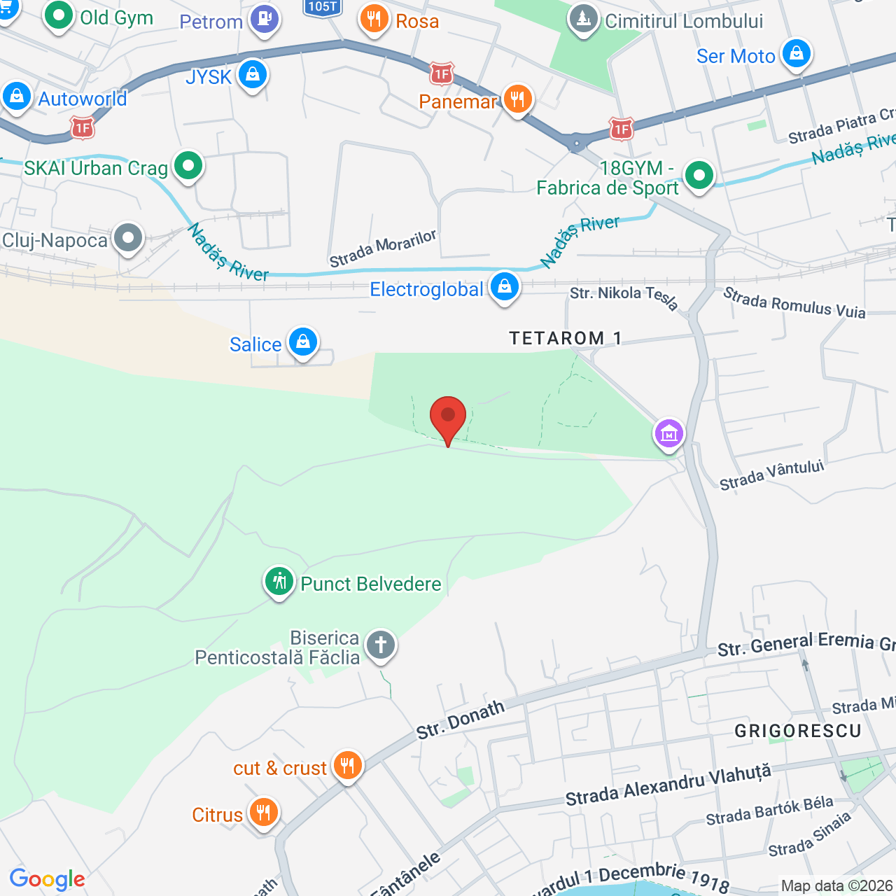 Map of Parcul Etnografic Național “Romulus Vuia”