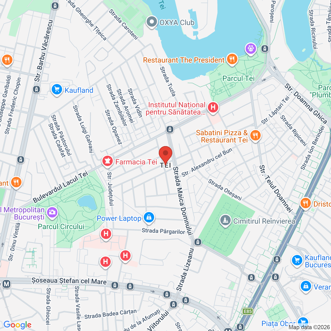 Map of Parcul Tei