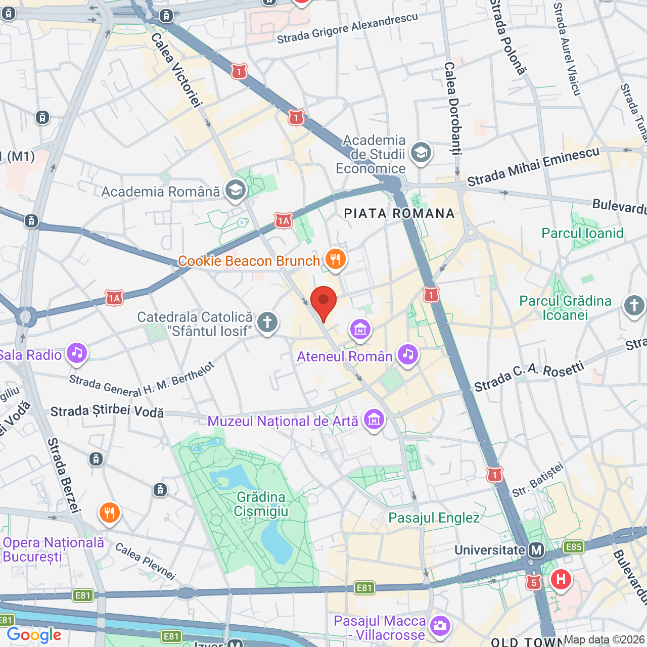 Map of The Fool Terasa
